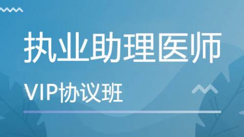 中医执业助理医师 